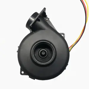 Hot Sales 100Mm Dc Borstelloze Blower Cpap Motor 2.4K Pa Hoge Druk En Cfm Plastic 12V 24V Ventiladores Voor Inflatables