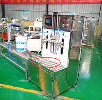 Petite Machine de remplissage d'huile d'olive comestible, Semi-automatique