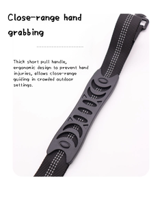 Guinzaglio Retrattile Riflettente alla Moda, Impermeabile, con Manico Imbottito Morbido e Regolabile, Senza Trazione, in <span class=keywords><strong>Tessuto</strong></span> Elastico, Fornitura Diretta dalla Fabbrica - Product Image 5