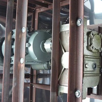 Machine automatique à épiler les poils de poulet, de volaille, de caille, de Pigeon, de plumes, 2022