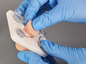 Entrenador de modelo anatómico de <span class=keywords><strong>circuncisión</strong></span> <span class=keywords><strong>infantil</strong></span> masculina para demostración de clase de ciencia médica - Product Image 6