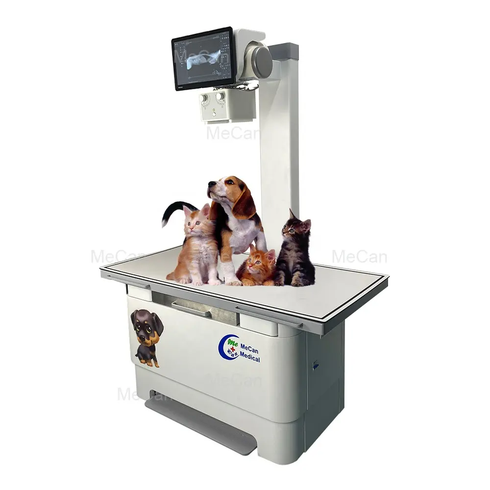 Hospital Medical Xray Machine Radiography Dog Vet X Ray Equipment Veterinary Digital X-Ray Machine for Vet