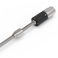 Zhaowei Kim Loại Kép Trục Tốc Độ Thấp 12V/24V 300 Rpm Dc Worm Gear Window Lift Động Cơ Cho Cửa Sổ Tự Động Lift