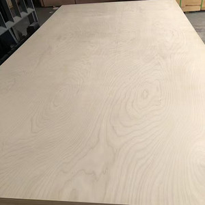 4*8 Pieds 12mm 13mm <span class=keywords><strong>Contreplaqué</strong></span> Fabricant Bouleau Peuplier Eucalyptus <span class=keywords><strong>Panneau</strong></span> Imperméable Multifonctionnel pour Meuble Armoire - Product Image 6