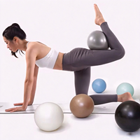Ballon de Pilates personnalisé 8' 25cm anti-éclatement, mini ballon de yoga, petit ballon de thérapie, ballon de gym, Pelota De Yoga, Balles De Pilates, ballon d'entraînement pour barre