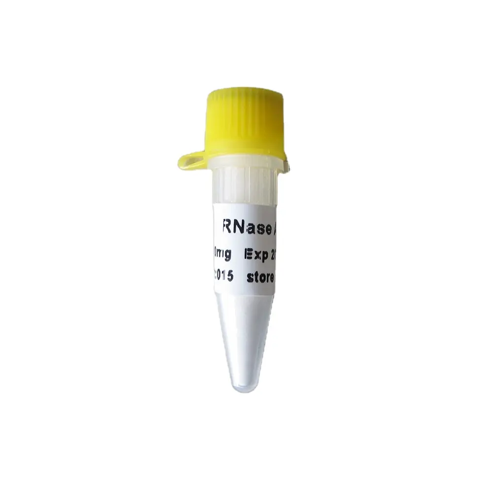 Poudre de RNase A de purification d'acide nucléaire, 3000 U/mg 100mg N9046