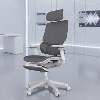Chaise de bureau ergonomique pivotante de qualité supérieure avec dossier réglable en métal moderne, dossier en maille et repose-pieds