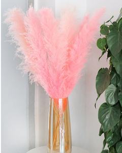 Pampas Rosadas, Decoración Perfecta para Bodas y Hogar, Flor Seca Grande y Esponjosa, Hierba de Pampas Seca Natural - Product Image 5