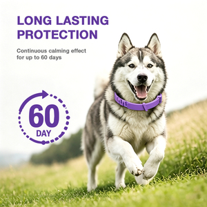 Collier apaisant pour chiens, lot de 4, formule à libération lente d'huiles essentielles naturelles cliniquement prouvées, soulagement de l'anxiété, convient à toutes les tailles, <span class=keywords><strong>60</strong></span> jours - Product Image 3