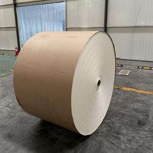 Rollos de Papel Ecológicos Desechables de 150 g/m² con Recubrimiento de 15 PE para Vasos de Café, Vasos de Helado y Tazones de Papel - Product Image 5