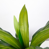 Petit bonsaï artificiel de 50 cm pour bureau, plante en pot, décoration de bibliothèque, décoration en plastique, arbre du dragon