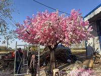 Arbre artificiel de cerisier Bagang, fleurs roses, présentoir en verre et plastique, décoration intérieure pour mariage