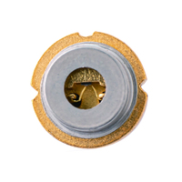 Source Usine TO9 TO18 Modèle Unique Diode Lumineuse LED Bleue 450nm 30mw Diode Épilation Laser Résultats Optimaux