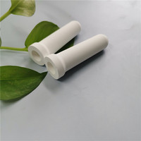 Sonde en céramique poreuse pour le sol Ergomètre Tensiomètre Tube en céramique Utilisé Détection du potentiel de l'eau du sol Tuyaux de tête en céramique
