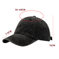 Casquette de baseball vintage en coton délavé, style sportif, personnalisable avec broderie, douce et vieillie, broderie 3D en relief disponible, vierge