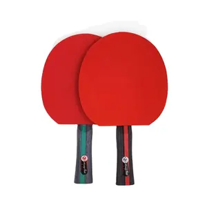 Kunden spezifisches Logo ITTF zugelassenes Gummi-Tischtennis schläger Pingpong-Paddel