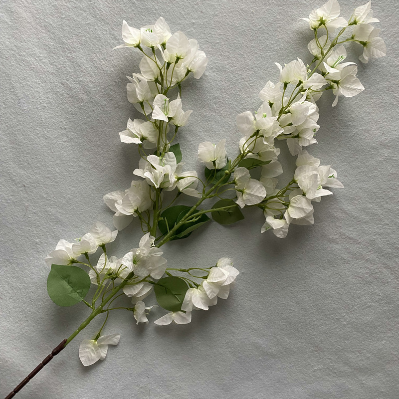 Blanc Grand#1