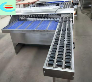 Timbangan elektronik otomatis inspeksi telur & mengelompokkan ukuran penyortir mesin kelas telur/klasifikasi berbasis berat telur - Product Image 6