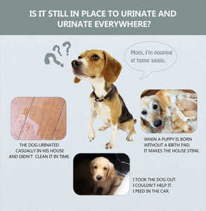 ペットパッド60x60x90防水子犬パッドウォルマート使い捨て吸収マットクイックドライ犬用 - Product Image 6