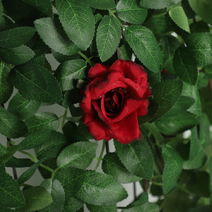 Decoración de Pared con Rosas Artificiales, Guirnalda de Rosas para Esquina, Alta Simulación, Arreglo Floral de Plástico para Interiores, Sala de Estar - Product Image 1