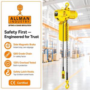 Paranco Elettrico a Catena ALLMAN da 0,5, 1 e 3 Tonnellate, Certificato CE, Grado di Lavoro <span class=keywords><strong>M4</strong></span>, 400V, Alta Prestazione per Sollevamento Industriale - Product Image 2