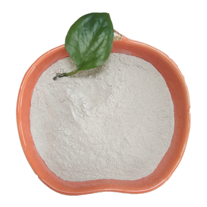 Terra sbiancante argilla attivata per decolorazione olio plam - Product Image 1