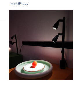 GOUPlums Profesional Museums Showcase Light 220V 24V 2W Light ForJewelry Glass Stands Display Shelves <span class=keywords><strong>LED</strong></span> <span class=keywords><strong>Spot</strong></span> Light - Product Image 5