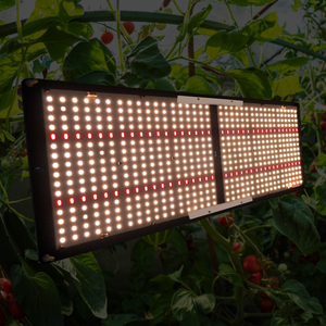 QB288 240W <span class=keywords><strong>LED</strong></span> <span class=keywords><strong>grow</strong></span> light board Samsung LM301h/ 301b uv ir 3000K 4000K lámparas de cultivo doméstico - Product Image 3