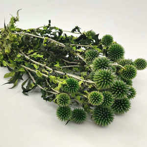 D050880 Boules de fleurs séchées naturelles d'éryngium (<span class=keywords><strong>Eryngium</strong></span> <span class=keywords><strong>Foetidum</strong></span>) et de thistle, fleurs séchées et stabilisées pour bouquet de mariage - Product Image 5