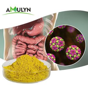 AMULYN Cloridrato de Berberina <span class=keywords><strong>Coptis</strong></span> <span class=keywords><strong>Chinensis</strong></span> Extrato Direto da Fábrica 98% Berberina - Product Image 3