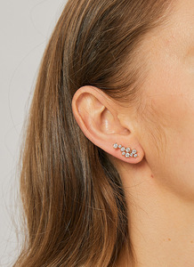 2024 Luxury 5A Zircon Mini Ear <b>Stud</b> Earrings Trendy Animal Pattern 14K Gold Plated Unisex Custom Logo Fashionable Brass Gifts - Product Image 3