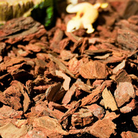Granulés d'écorce de pin vert pour litière d'iguanes, litière pour lézards et tortues, aménagement de cage pour animaux, absorption des odeurs, rétention de l'humidité, 500g