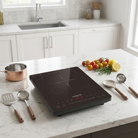 Table de cuisson à induction céramique portable haute puissance 1 brûleur 2000W pour camping-car, hôtel, maison, restaurant