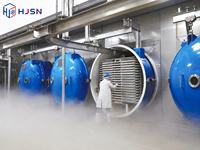 Industriële vacuümvriesdroger voor fruit en groenten