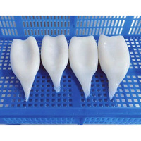 Tubes de calmar IQF sans peau U3/U5/U7, emballage sous vide ou en vrac, produits de la mer pour l'exportation