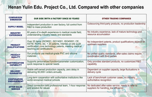 แบบจำลองการเตรีย<span class=keywords><strong>ม</strong></span>ฟันสำหรับฝึกหัด พร้อ<span class=keywords><strong>ม</strong></span>จำลองไซนัสและฟันหาย สำหรับการฝึกอบรมการปลูกถ่ายฟัน การเตรีย<span class=keywords><strong>ม</strong></span>สอบทางการแพทย์ - Product Image 5