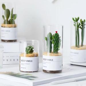Tanque de Almacenamiento de Varios Tamaños, Cilindro para Plantas, Botella Hidropónica para Suculentas, Florero de Vidrio Transparente para Decoración del Hogar y Sala de Estar - Product Image 5