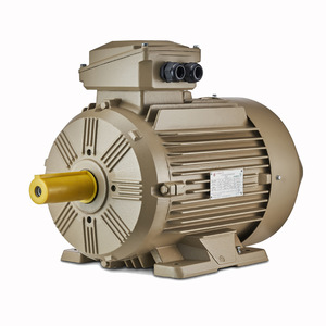 <span class=keywords><strong>WE4</strong></span> 4Pole/1500RPM IE4 AC Motor asíncrono (80 ~ 355mm 0,75 ~ 375kW) Hecho en WOLONG China con certificado CE EAC ROHS - Product Image 6