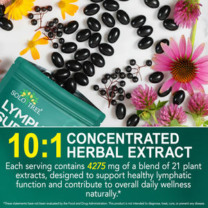 Solotree น้ำยาปรับสภาพน้ำเหลือง21 in 1, สารสกัดจากดอกแดนดิไลอันช่วยกระตุ้นการไหลเวียนดีท๊อกซ์เจลน้ำเหลือง - Product Image 2