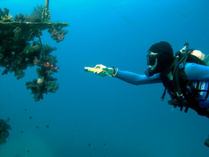 Sáng <span class=keywords><strong>Mini</strong></span> Xách Tay Không Thấm Nước LED Ngoài Trời Lặn Săn Bắn Cắm Trại Điều Khiển Từ Tính Tầm Xa Đèn Pin Chiếu Sáng Đèn Lồng - Product Image 6