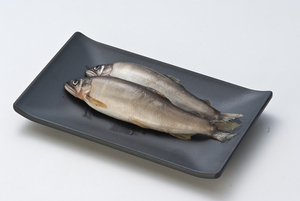 Assiette de service rectangulaire en mélamine noir mat pour viande grillée, sushi, <span class=keywords><strong>saury</strong></span> et cuisine japonaise, usage en restaurant - Product Image 3
