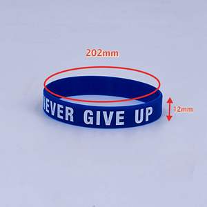 Pulsera de silicona Never Give Up de 202 mm x 12 mm, pulsera motivacional unisex, brazalete deportivo para exteriores - Product Image 1