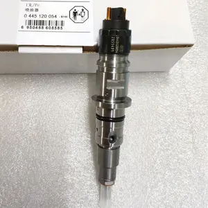 Common Rail Injector 0445120236 5263308 Voor Diesel Systeem