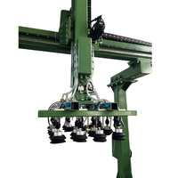 Robot de palettisation industriel robuste 800 kg entièrement automatique à commande PLC, à axe Z unique, avec ventouses, certifié CE