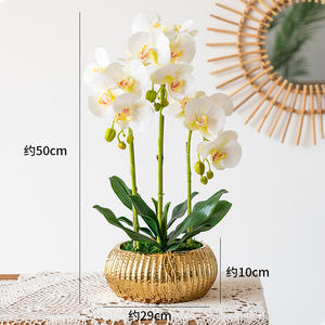 Nouveau style luxe 3D toucher réel phalaenopsis fleur artificielle or en pot <span class=keywords><strong>Dendrobium</strong></span> plante <span class=keywords><strong>Orchidée</strong></span> artificielle en pot - Product Image 1