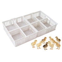 Panier de transport pour poussins d'un jour en PP, neuf, avec 4 compartiments, capacité 60 poussins, pour livraison et vente