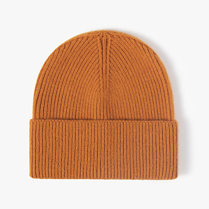 Automne hiver épais bonnet tricoté en laine avec plaque lumineuse au design gaufré chaud et léger pour les vêtements de plein air de voyage à grosse tête - Product Image 6