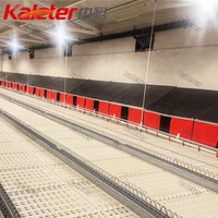 Équipement d'élevage avicole : Nid automatique pour poules pondeuses avec système de récupération des œufs