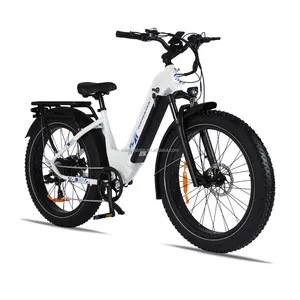 US Warehouse Only Electric Bikes Ebike Bicycles Best Cheap Bike With Feel