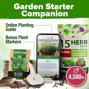 Haute germination sans OGM intérieur héritage culinaire herbe <span class=keywords><strong>basilic</strong></span> pour hydroponique extérieur jardin Durable Pots de fleurs jardinières pour - Product Image 4